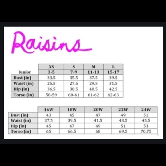 RAISINS stripe high waisted swimsuit. L-top/M-bottom. NWT - Picture 7 of 7